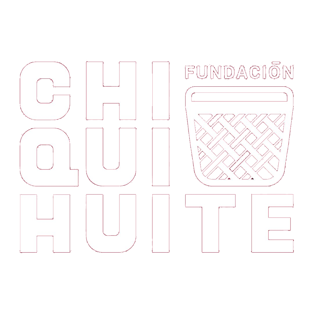 fundacionchiquihuite.com